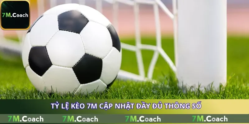 Tỷ lệ kèo 7M cập nhật đầy đủ thông số Tỷ lệ kèo 7M cập nhật đầy đủ thông số