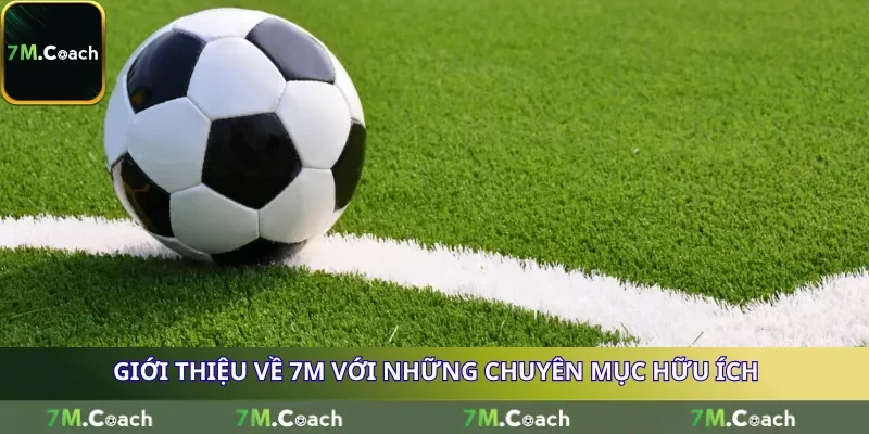 Giới thiệu về 7M với những chuyên mục hữu ích