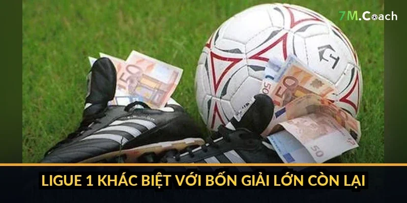 Bản đồ các câu lạc bộ Ligue 1 trải khắp nước Pháp